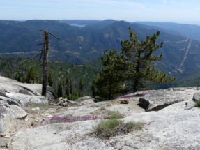 Shaver-view-from-Mushroom-Rock