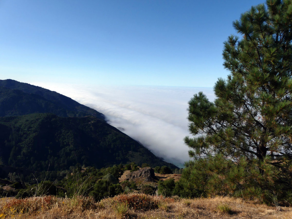 A blanket of fog covers the Pacific Ocean