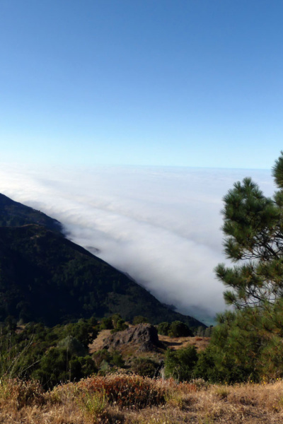 A blanket of fog covers the Pacific Ocean
