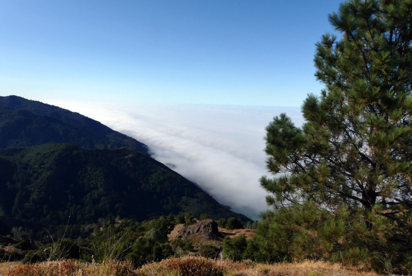 A blanket of fog covers the Pacific Ocean