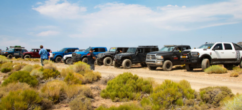 Line up of 4x4s