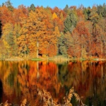 Unsplash photo of fall colors at lake